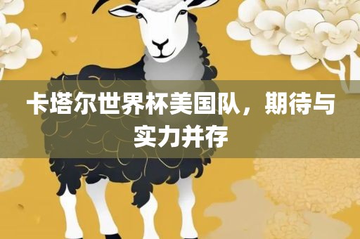 卡塔尔世界杯美国队，期待与实力并存广西贺州市华昌新材料有限公司
