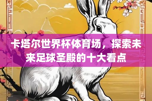 卡塔尔世界杯体育场，探索未来足球圣殿的十大看点广西贺州市华昌新材料有限公司
