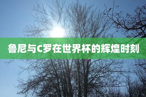 鲁尼与C罗在世界杯的辉煌时刻
