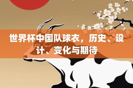 世界杯中国队球衣，历史、设计、变化与期待广西贺州市华昌新材料有限公司