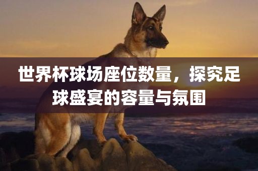 世界杯球场座位数量，探究足球盛宴的容量与氛围广西贺州市华昌新材料有限公司