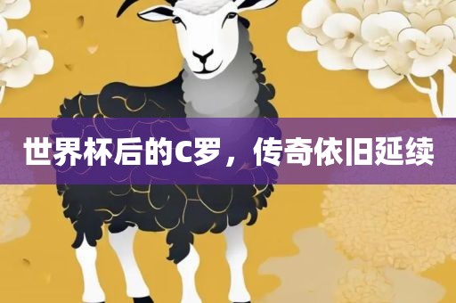 世界杯后的C罗，传奇依旧延续广西贺州市华昌新材料有限公司