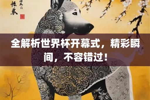 全解析世界杯开幕式，精彩瞬间，不容错过！