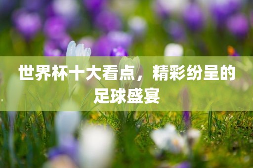 世界杯十大看点，精彩纷呈的足球盛宴广西贺州市华昌新材料有限公司