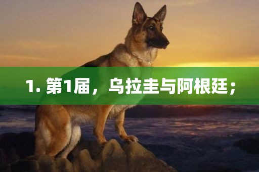 1. 第1届，乌拉圭与阿根廷；广西贺州市华昌新材料有限公司