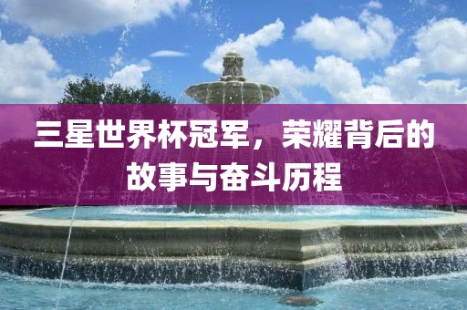 三星世界杯冠军，荣耀背后的故事与奋斗历程广西贺州市华昌新材料有限公司