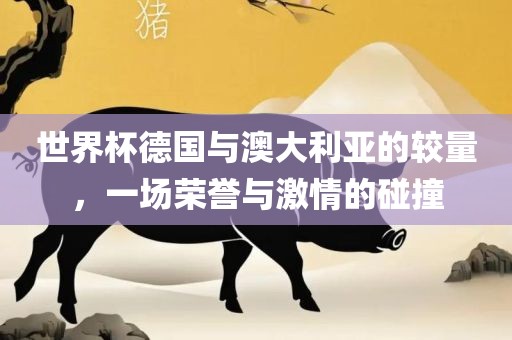 世界杯德国与澳大利亚的较量，一场荣誉与激情的碰撞广西贺州市华昌新材料有限公司