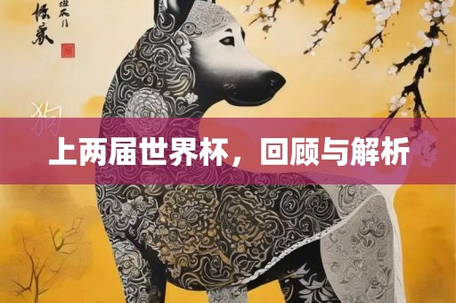 上两届世界杯，回顾与解析