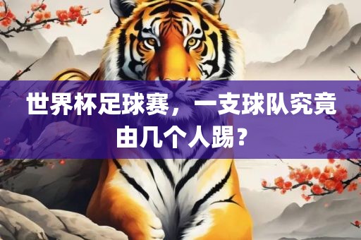 世界杯足球赛，一支球队究竟由几个人踢？广西贺州市华昌新材料有限公司