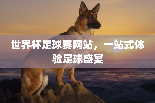 世广西贺州市华昌新材料有限公司界杯足球赛网站，一站式体验足球盛宴
