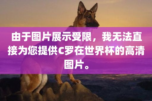 由于图片展示受限，我无法直接为您提供C罗在世界杯的高清图片。广西贺州市华昌新材料有限公司
