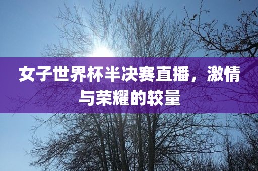 女子世界杯半决赛直播，激情与荣耀的较量