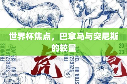 世界杯焦点，巴拿马与突尼斯的较量广西贺州市华昌新材料有限公司