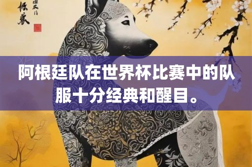 阿根廷队在世界杯比赛中的队服十分经典和醒目。广西贺州市华昌新材料有限公司