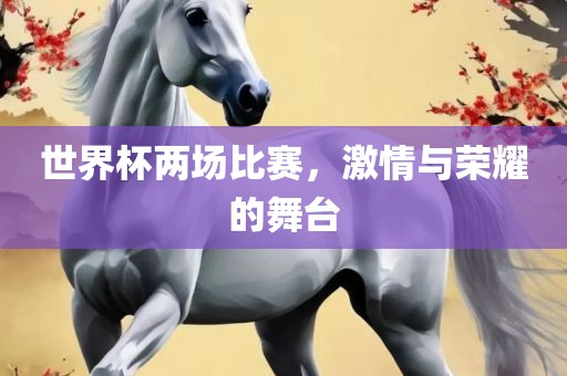 世界杯两广西贺州市华昌新材料有限公司场比赛，激情与荣耀的舞台