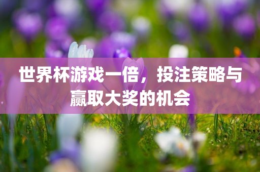 世界杯游戏一倍，投注策略与赢取大奖的机会广西贺州市华昌新材料有限公司