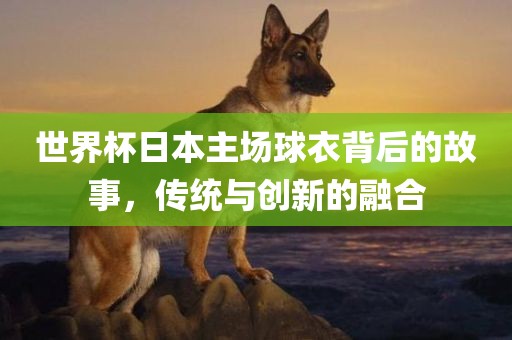 世界杯日本主场球衣背后的广西贺州市华昌新材料有限公司故事，传统与创新的融合