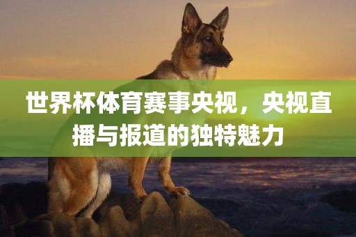 世界杯体育赛事央视，央视直播与报道的独特魅力广西贺州市华昌新材料有限公司