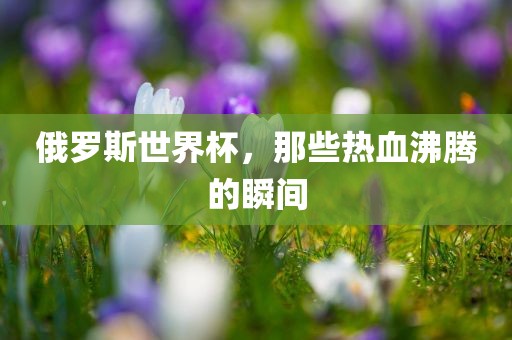 俄罗斯世界杯，那些热血沸腾的瞬间广西贺州市华昌新材料有限公司