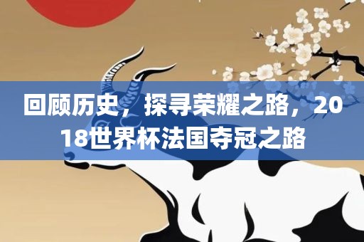 回顾历史，探寻荣耀之路，2018世界杯法国夺冠之路广西贺州市华昌新材料有限公司