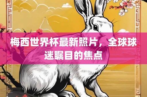梅西世界杯最新照片，全球球迷瞩目的焦点广西贺州市华昌新材料有限公司