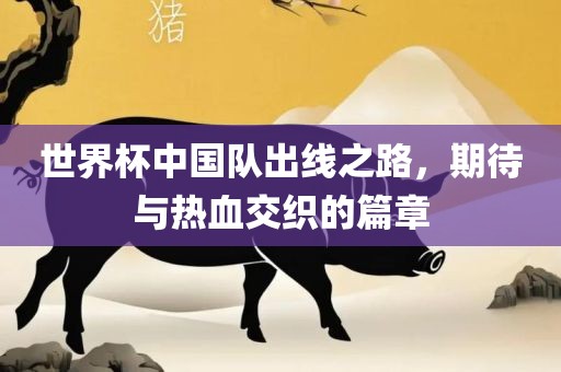 世界杯中国队出线之路，期待与热血交织的篇章广西贺州市华昌新材料有限公司