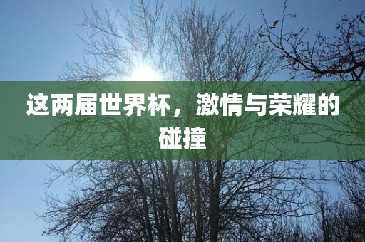 这两届世界杯，激情与荣耀的碰撞广西贺州市华昌新材料有限公司