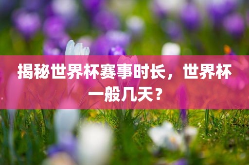 揭秘世界杯赛事时长，世界杯一般几天？广西贺州市华昌新材料有限公司
