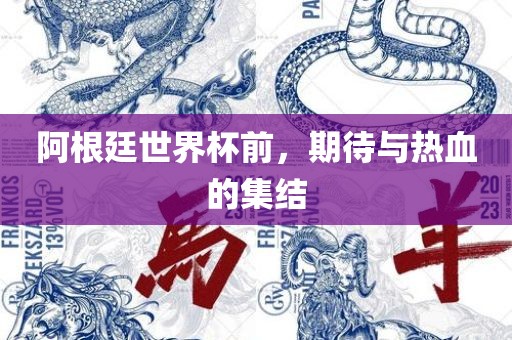 阿根廷世界杯前，期待与热血的集结广西贺州市华昌新材料有限公司
