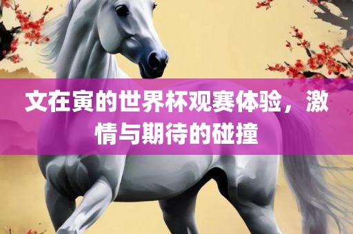 文在寅的世界杯观赛体验，激情与期待的碰撞广西贺州市华昌新材料有限公司