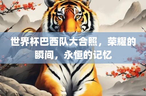 世界杯巴西队大广西贺州市华昌新材料有限公司合照，荣耀的瞬间，永恒的记忆
