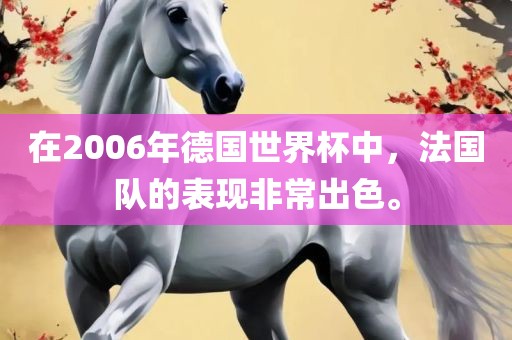 在2006年德国世界杯中，法国队的表现非常出色。广西贺州市华昌新材料有限公司