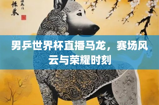 男乒世界杯直播马龙，赛广西贺州市华昌新材料有限公司场风云与荣耀时刻