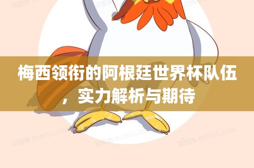 梅西领衔的阿根廷世界杯队伍，实力解析与期待