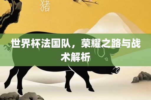 世界杯法国队，荣耀之路与战术解析