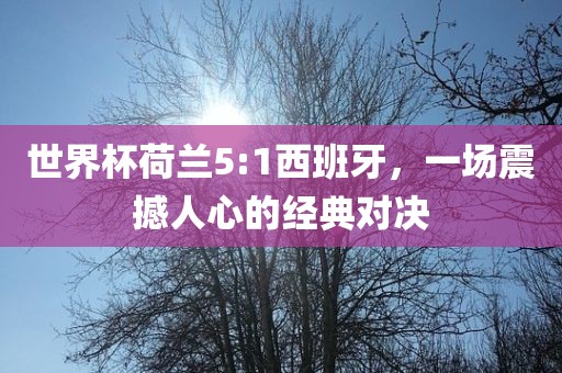 世界杯荷兰5:1西班牙，广西贺州市华昌新材料有限公司一场震撼人心的经典对决