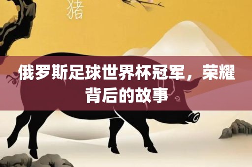 俄罗斯足球世界杯冠军，荣耀背后的故事广西贺州市华昌新材料有限公司