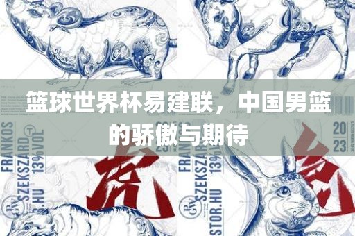 篮球世界杯易建联，中国男篮的骄傲与期待广西贺州市华昌新材料有限公司