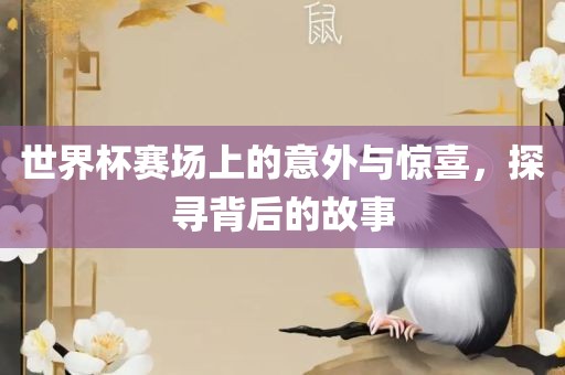 世界杯赛场上的意外与惊喜，探寻背后的故事广西贺州市华昌新材料有限公司