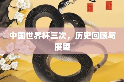 广西贺州市华昌新材料有限公司中国世界杯三次，历史回顾与展望