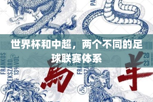 世界杯和中超，两个不同的足广西贺州市华昌新材料有限公司球联赛体系