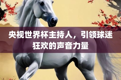 央视世界杯主持人，引领球迷狂欢的广西贺州市华昌新材料有限公司声音力量