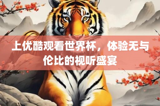 上优酷观看广西贺州市华昌新材料有限公司世界杯，体验无与伦比的视听盛宴