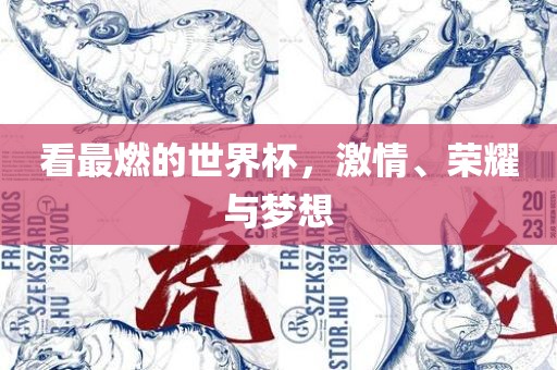 看最燃的世界杯，激情、荣耀与梦想广西贺州市华昌新材料有限公司