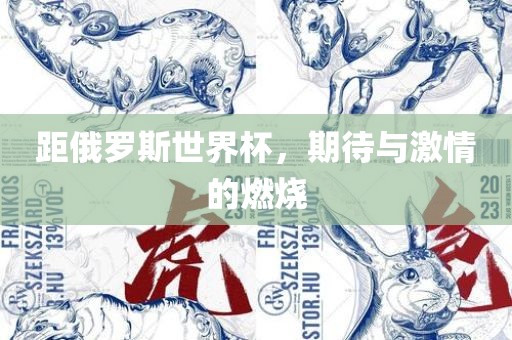 距俄罗斯世界杯，期待与激情的燃烧