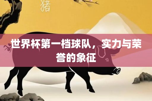 世界杯第一档球队，实力与荣誉的象征广西贺州市华昌新材料有限公司