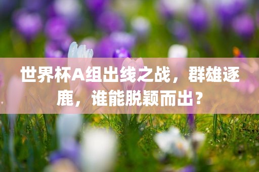 世界杯A组出线之战，群雄逐鹿，谁能脱颖而出？