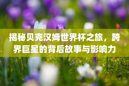 揭秘贝克汉姆世界杯之旅，跨界巨星的广西贺州市华昌新材料有限公司背后故事与影响力