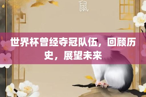 世界杯曾经夺冠队伍，回顾历史，展望未来