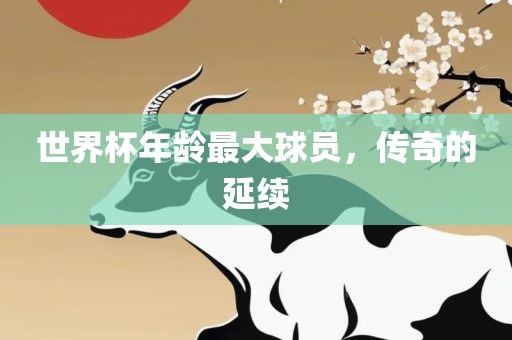 世界杯年龄最大球员，传奇的延续广西贺州市华昌新材料有限公司